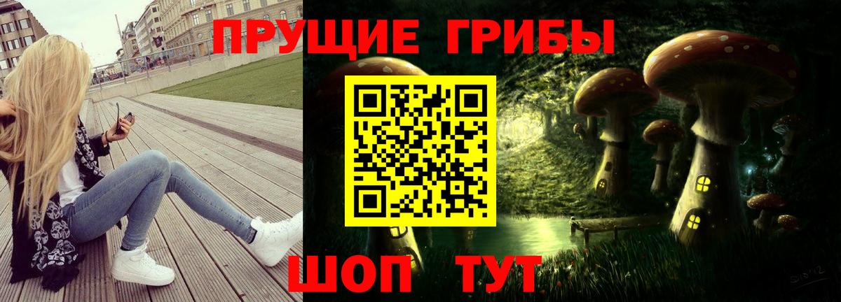 купить наркоту  Псилоцибиновые грибы Psilocybine cubensis  Вход с VPN  Зеленогорск  Псилоцибиновые грибы мицелий 